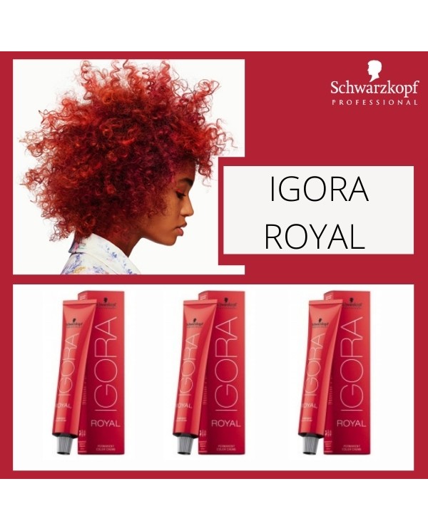 IGORA ROYAL