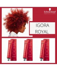 IGORA ROYAL