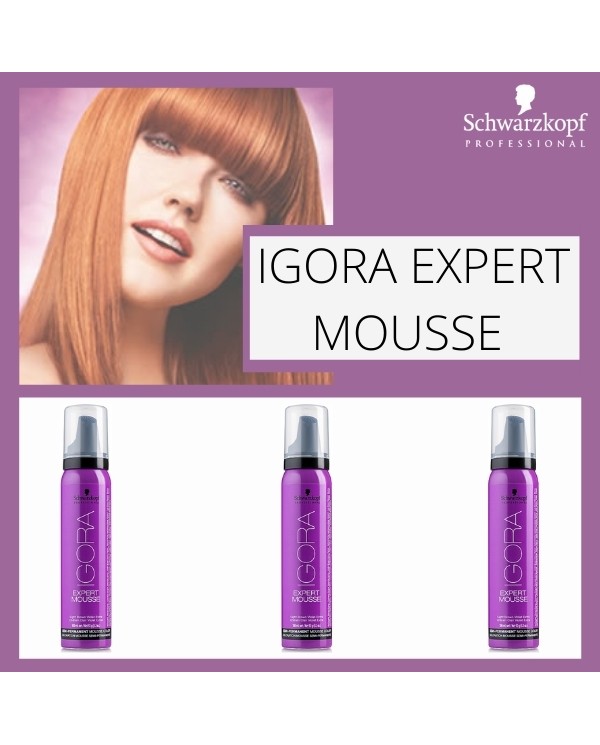 IGORA MOUSSE EXPERT