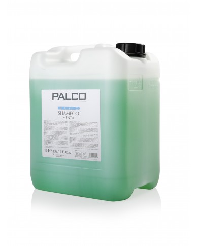 TANICA SHAMPOO FRAGRANZA MENTA 10LT