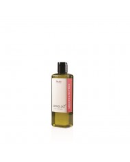 PALCO GERMOLOGY SMOOTH & NO FRIZZ SHAMPOO 250ML