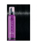 COLOR MOUSSE LISAP 13 NERO