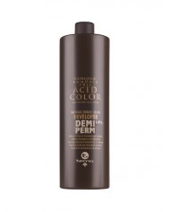 TECNA NCC DEVELOPER DEMIPERM 1LT