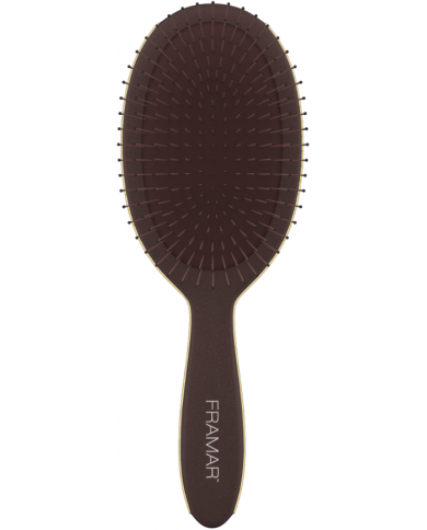 FRAMAR DETANGLE BRUSH DISPLAY DARK ACADEMY 9PZ