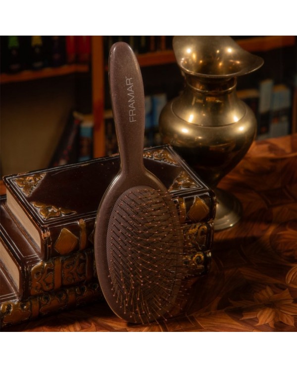 FRAMAR DETANGLE BRUSH DISPLAY DARK ACADEMY 9PZ