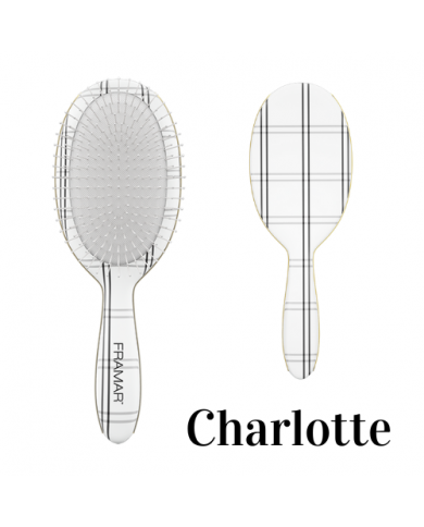 FRAMAR DETANGLE BRUSH DISPLAY PLAID HAIR DAY 9PZ