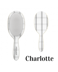 FRAMAR DETANGLE BRUSH DISPLAY PLAID HAIR DAY 9PZ