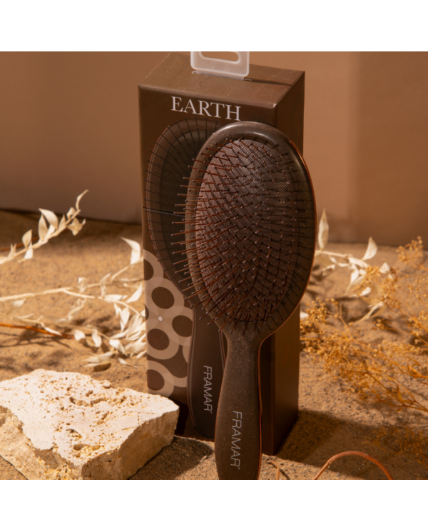 FRAMAR DETANGLE BRUSH DISPLAY TERRA 9PZ
