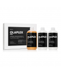 OLAPLEX N.3 PLUS COMPLETE RETAIL TREATMENT 100ML